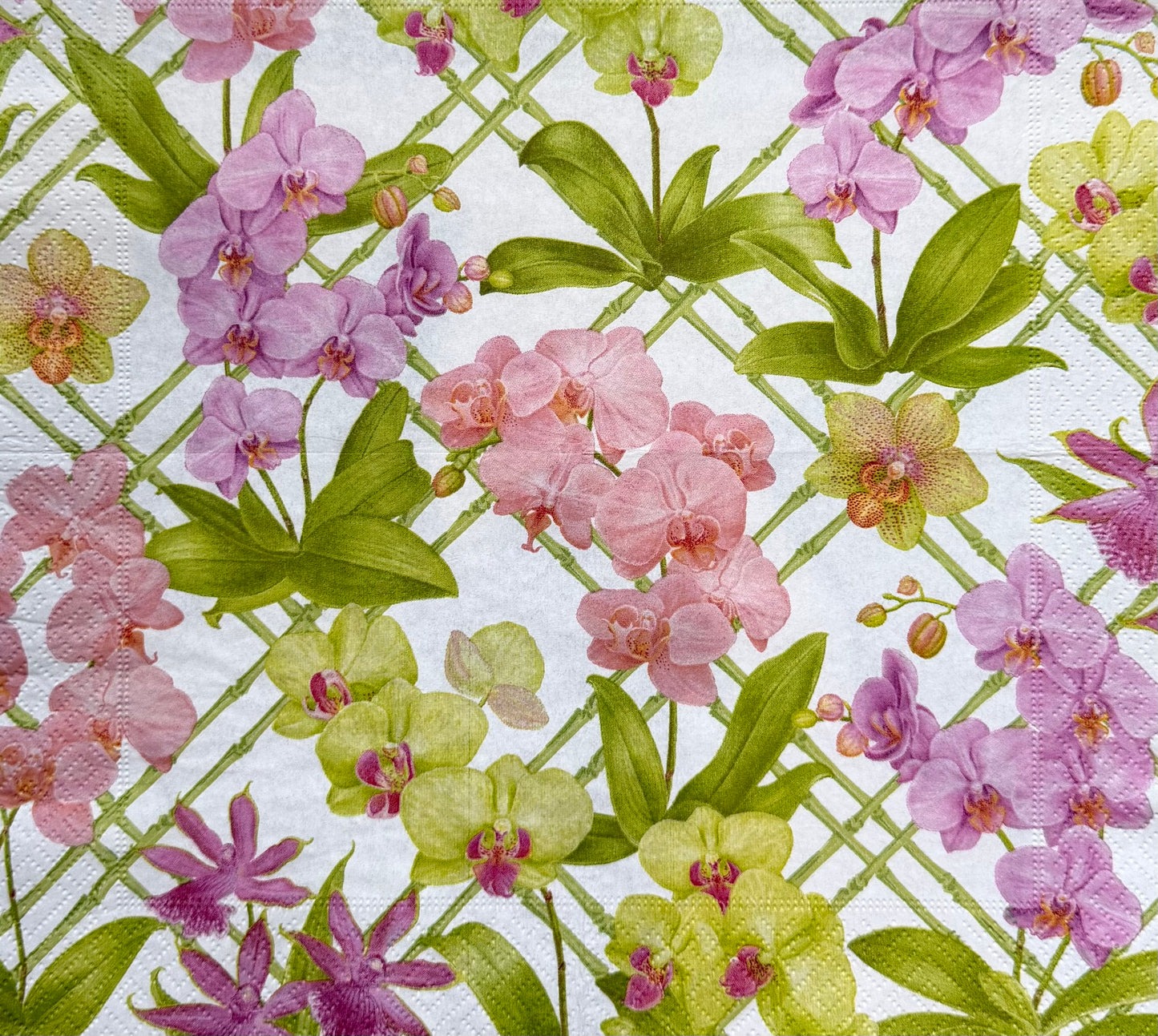 Pink and Green Canvas